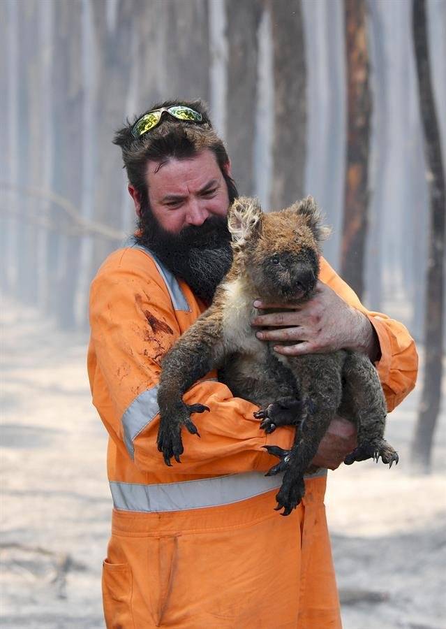 El fuego que consume el sureste australiano ha resultado ser más potente que los registros en América (Amazonas) el 2019