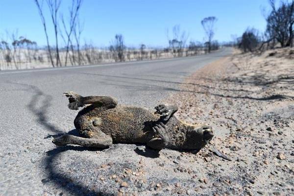 El fuego que consume el sureste australiano ha resultado ser más potente que los registros en América (Amazonas) el 2019