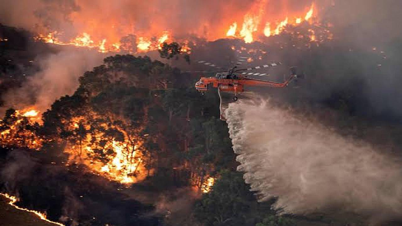 Australia: Tormentas extinguen incendios forestales de la parte este del país