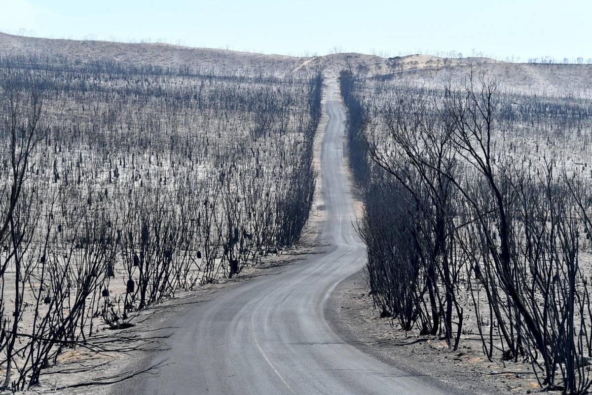 Incendios forestales Australia