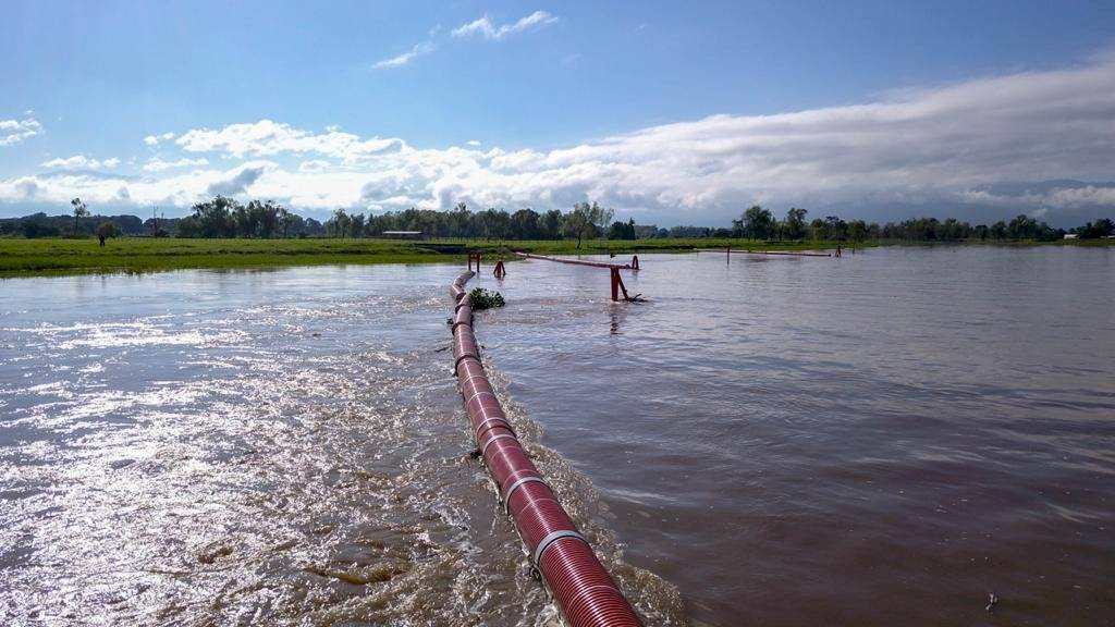 biobarda industrial en Izabal