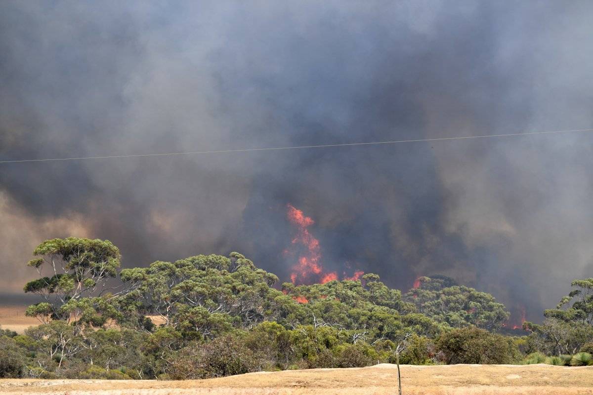 Incendios forestales Australia