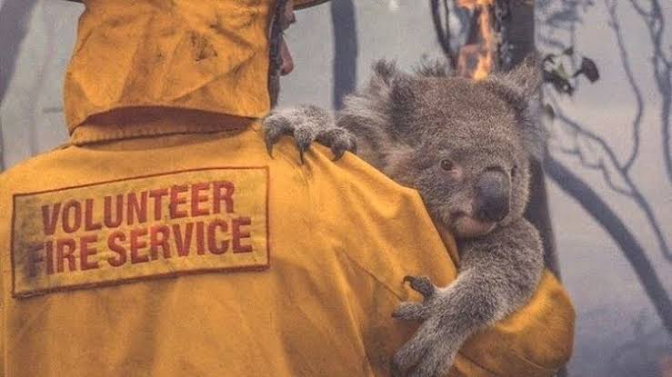 Australia: Tormentas extinguen incendios forestales de la parte este del país Australia: Tormentas extinguen incendios forestales de la parte este del país