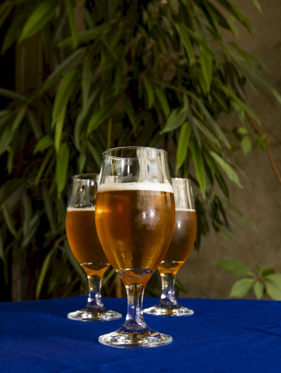 cerveza lager nativa