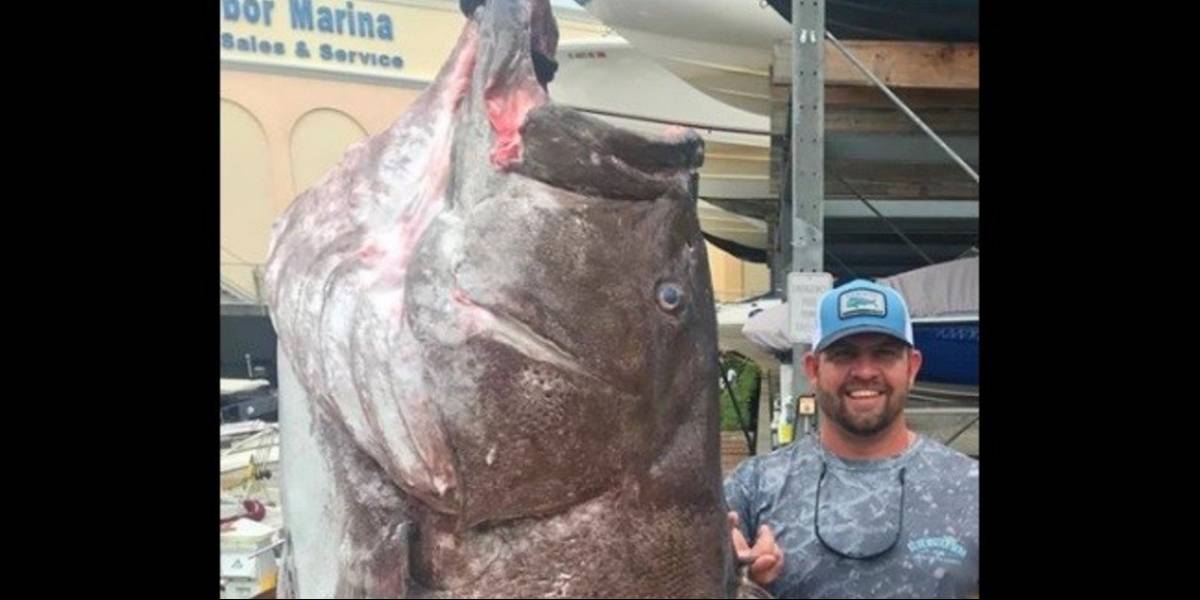 Pescó un monstruo marino que sorprendió por su edad Pescó un monstruo marino que sorprendió por su edad