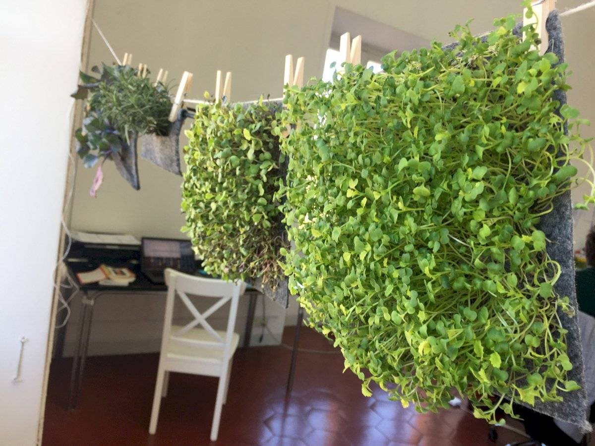 El proyecto fue nombrado Posthuman Habitats