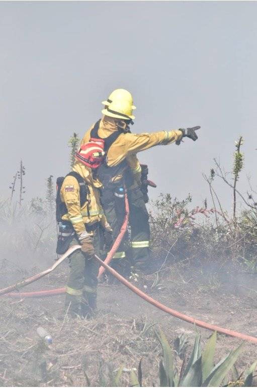 Bomberos