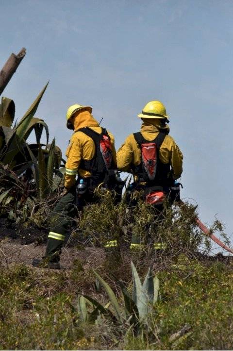 Incendio Casitagua