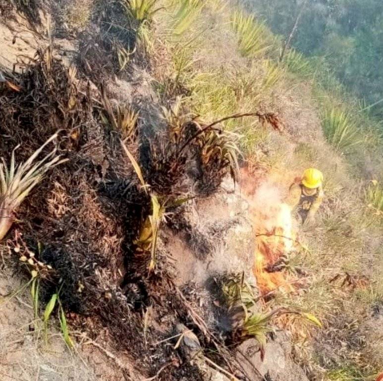 Incendio en cerro Casitagua