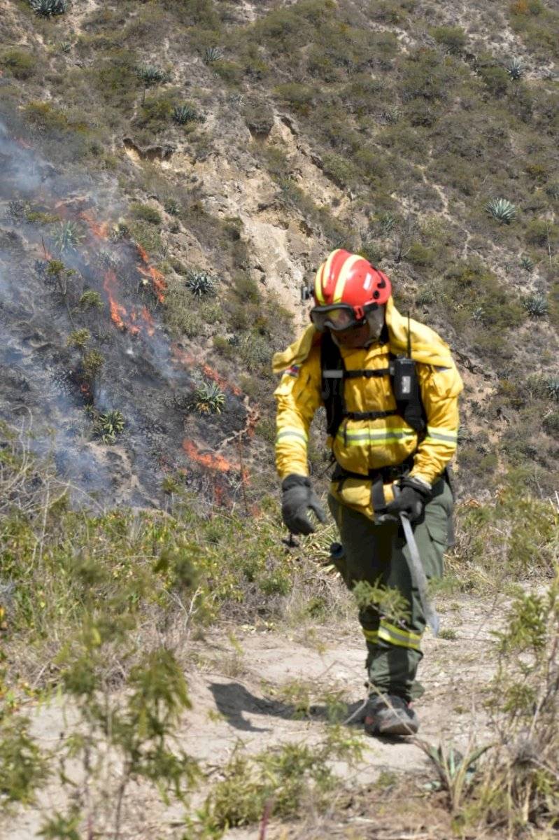 Más de 200 efectivos trabajan para erradicar las llamas en el cerro Casitagua
