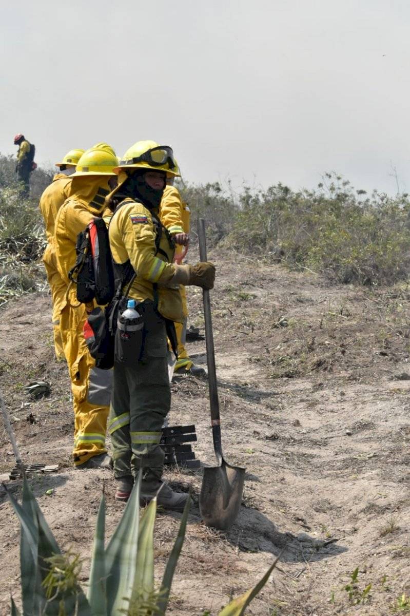 Más de 200 efectivos trabajan para erradicar las llamas en el cerro Casitagua