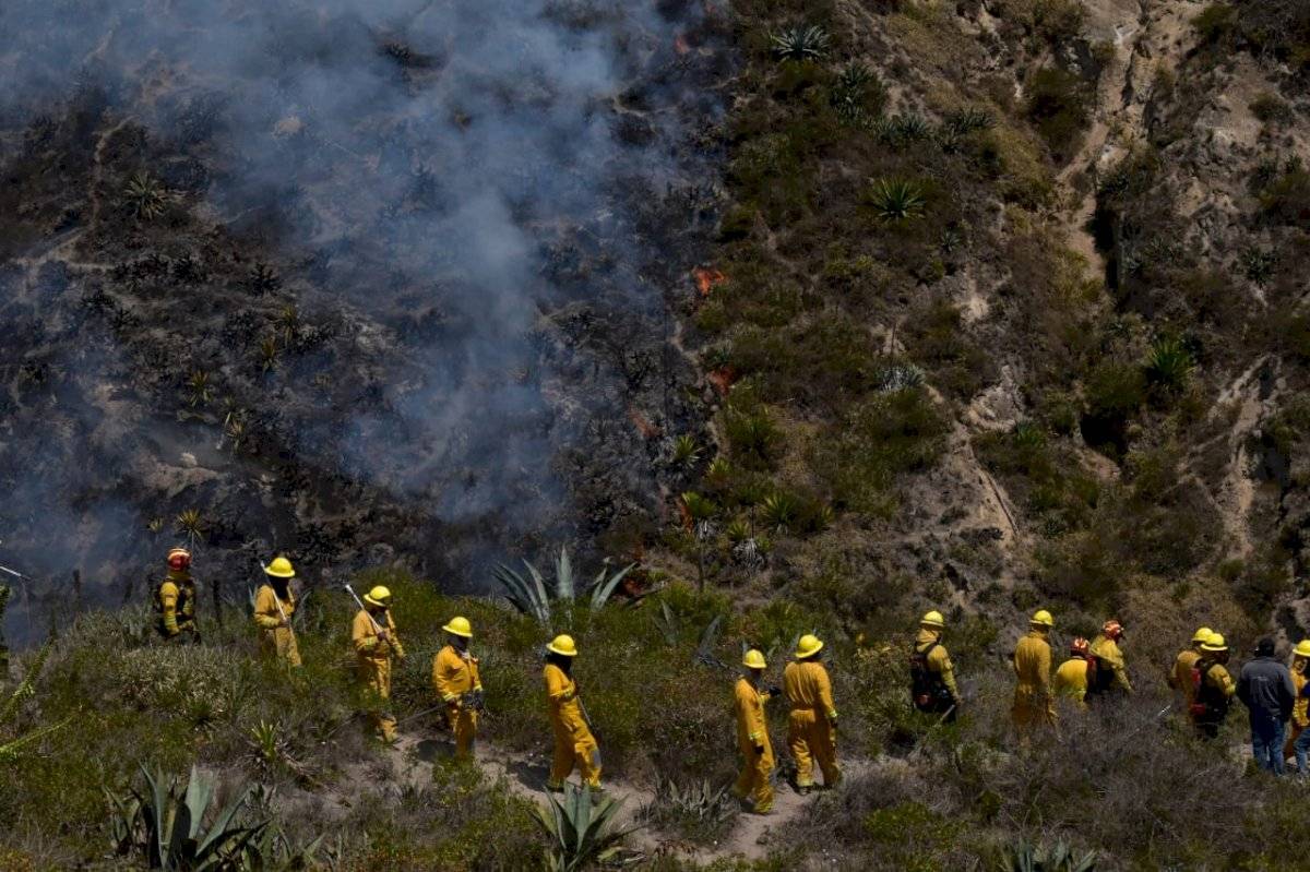Más de 200 efectivos trabajan para erradicar las llamas en el cerro Casitagua