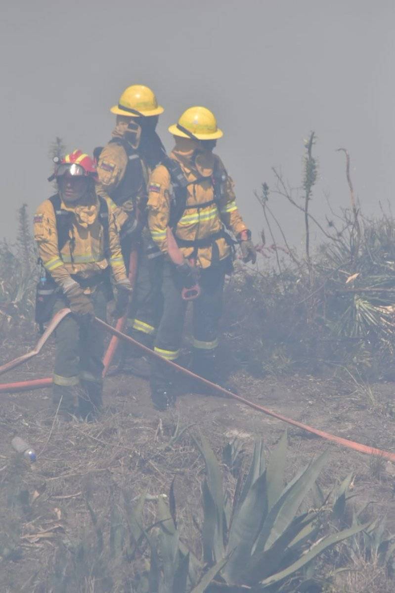 Más de 200 efectivos trabajan para erradicar las llamas en el cerro Casitagua