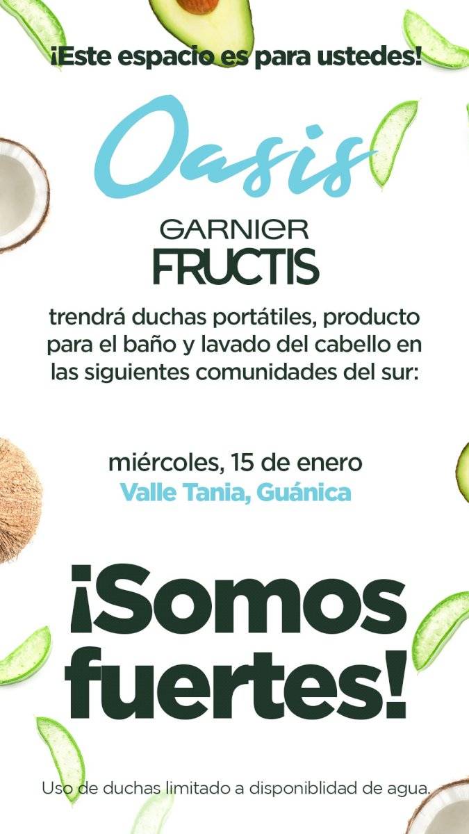 garnier fructis