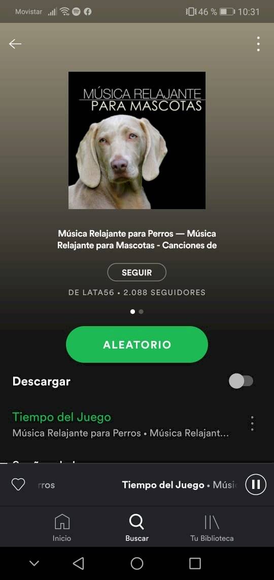 Playlist para mascotas