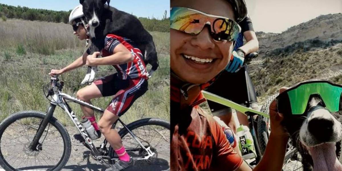Ciclistas rescataron a un perro — La Rioja Ciclistas rescataron a un perro — La Rioja