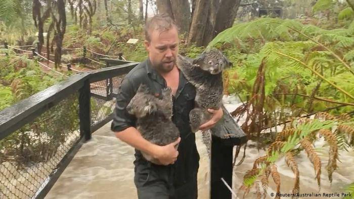 Australia: Tormentas extinguen incendios forestales de la parte este del país Australia: Tormentas extinguen incendios forestales de la parte este del país