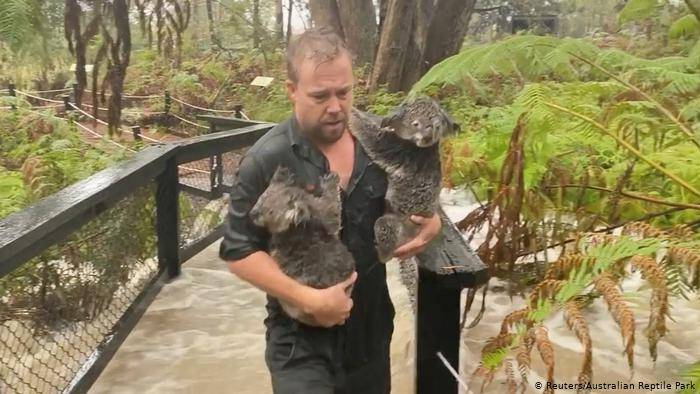 Australia: Tormentas extinguen incendios forestales de la parte este del país