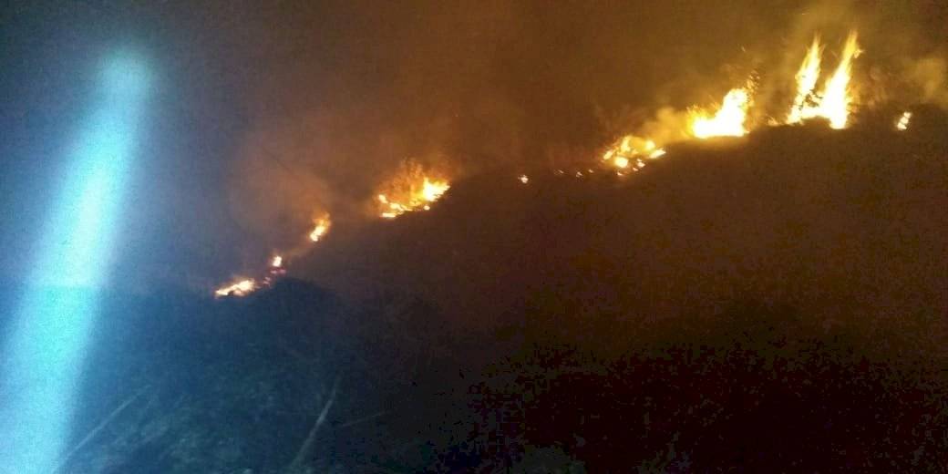 Se registra el primer incendio del año en el Bosque de la Primavera