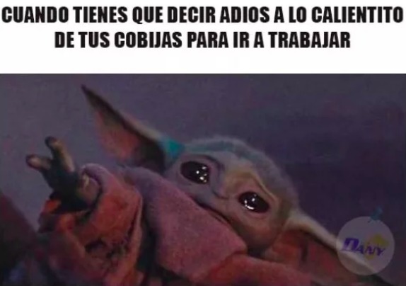 México frío memes México frío memes