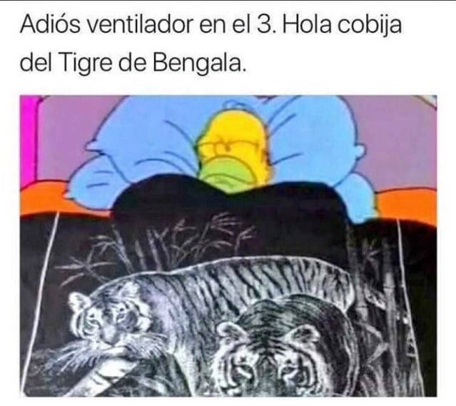 México frío memes México frío memes
