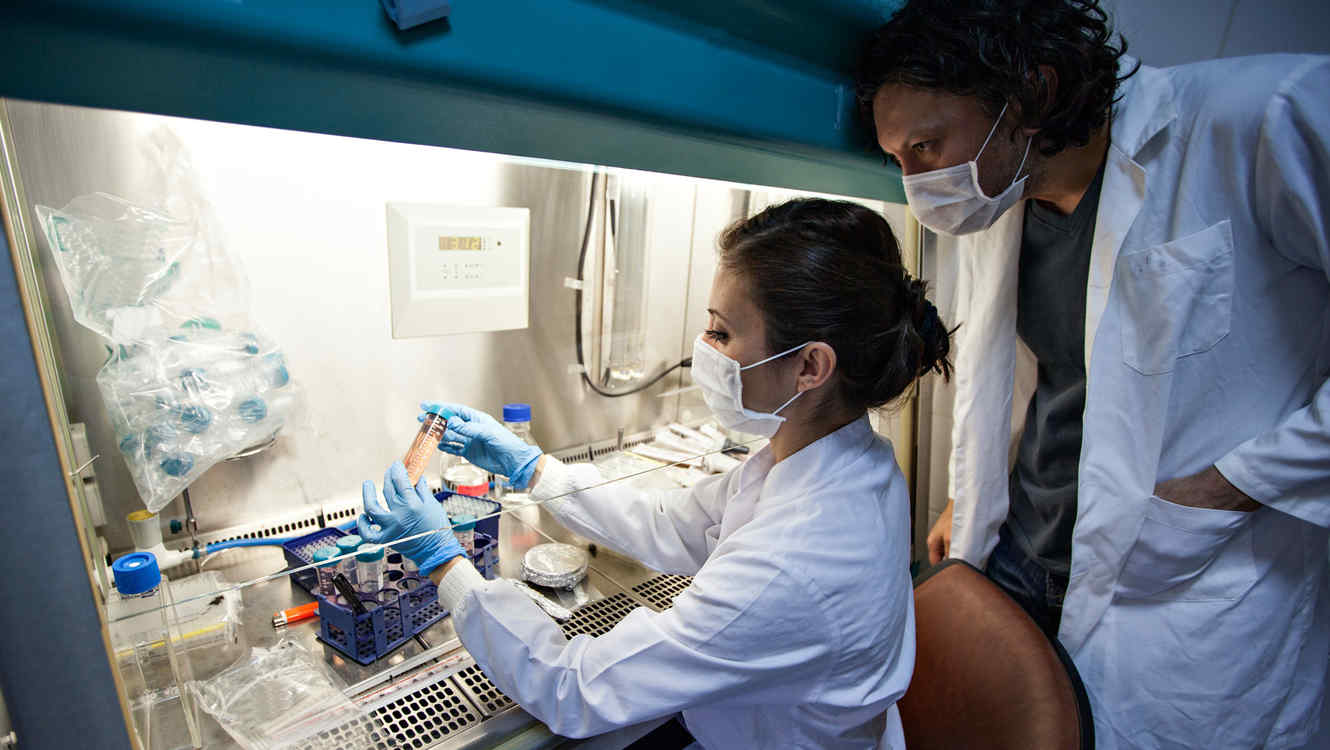  investigadores mosquitos 