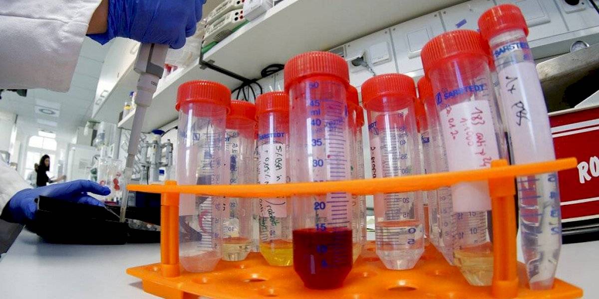 Crece la alerta: confirman primer caso de contagio de coronavirus de persona a persona en Estados Unidos