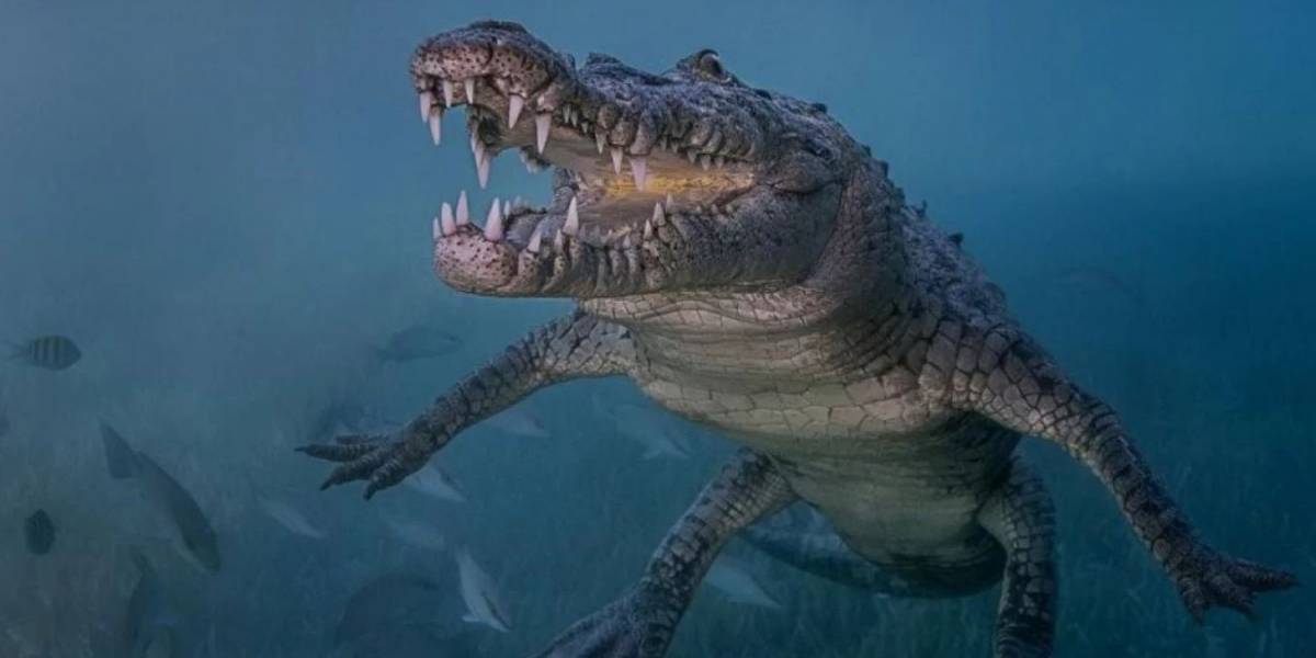 Los cocodrilos prehistóricos fueron de sangre caliente para sobrevivir al jurásico frío, relevó un nuevo estudio