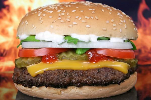 hamburger1238246-07a8eeda9dba81c13ea65e255910ba32.jpg