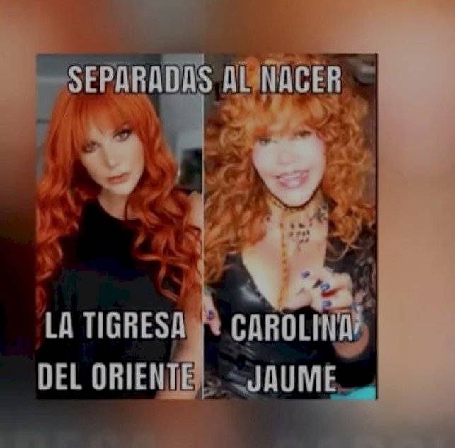 Carolina Jaume