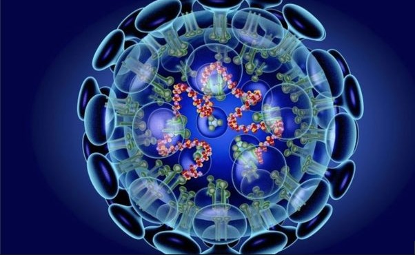 Coronavirus