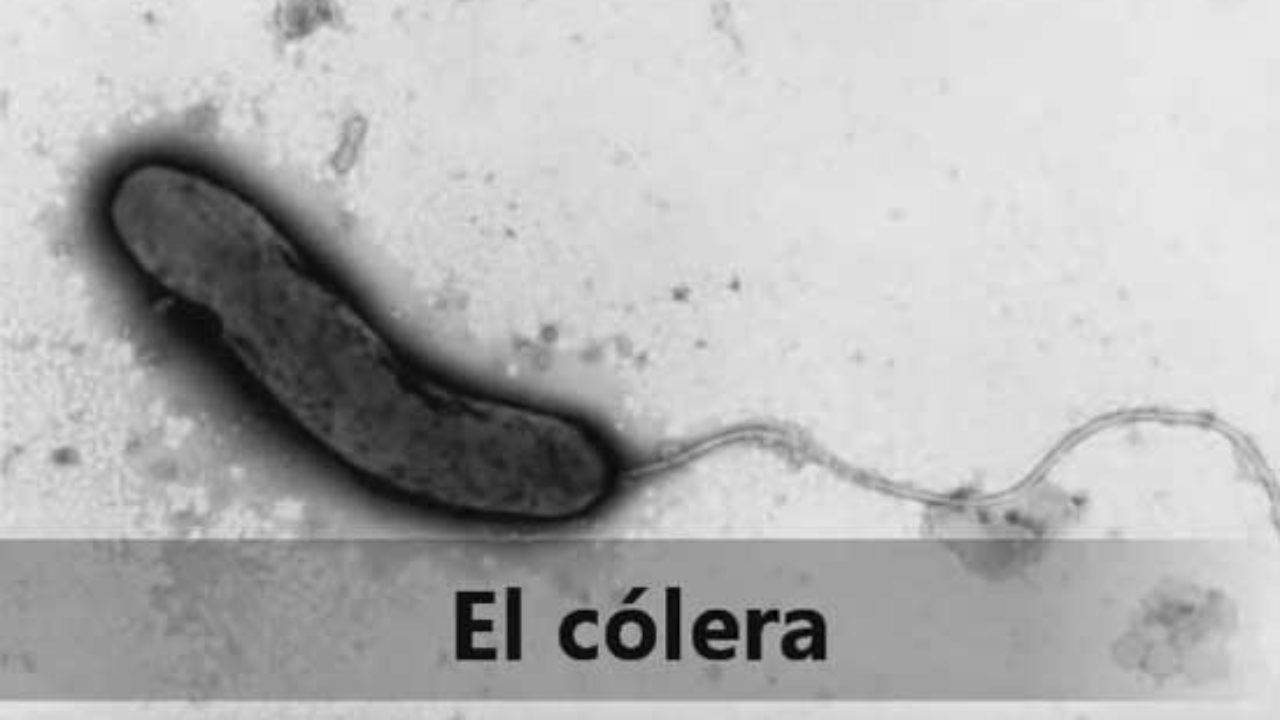 Coronavirus: conoce otras pandemias que han afectado a la humanidad en su historia Coronavirus: conoce otras pandemias que han afectado a la humanidad en su historia