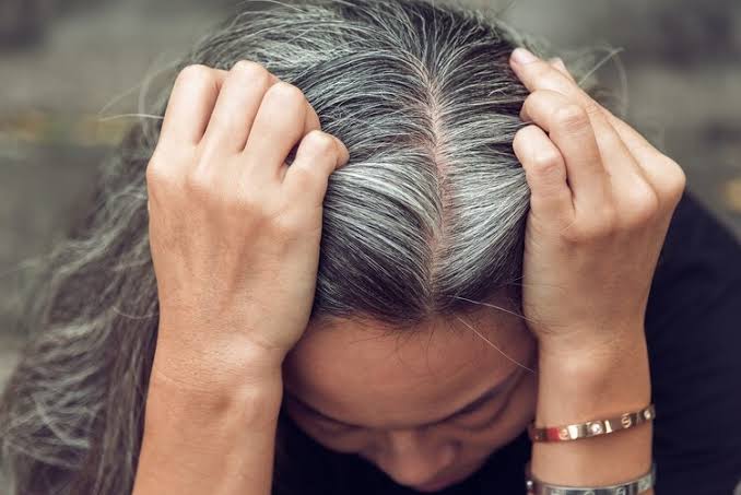 Estrés canas Estrés canas