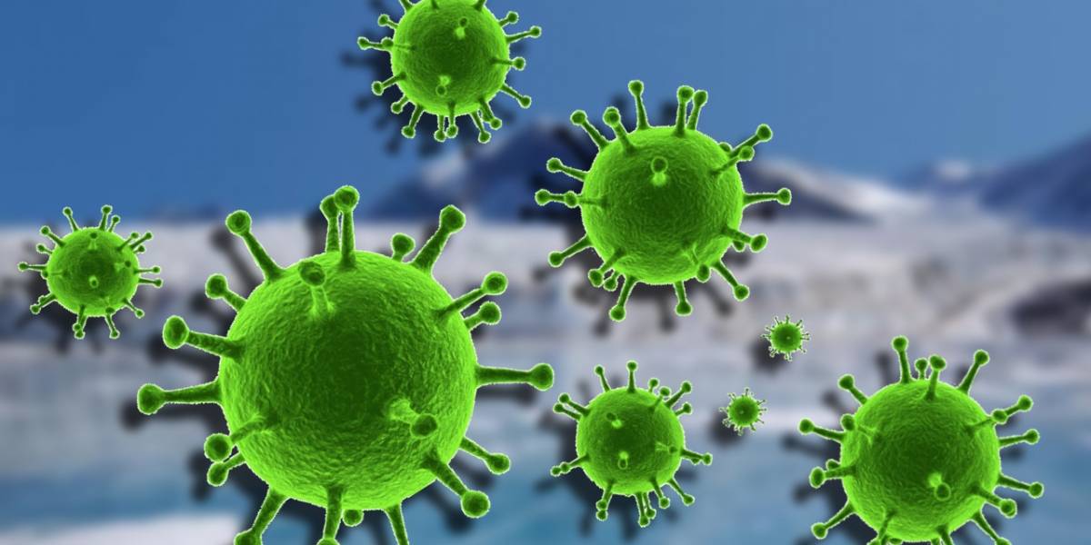 Encuentran virus nunca antes vistos en un glaciar tibetano