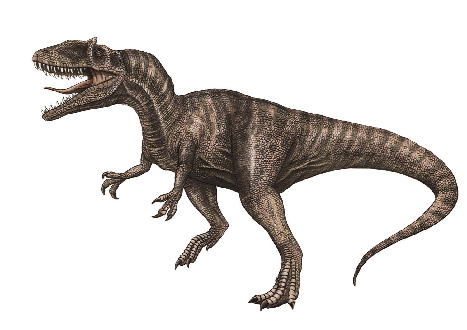 dinosaurio terópodo