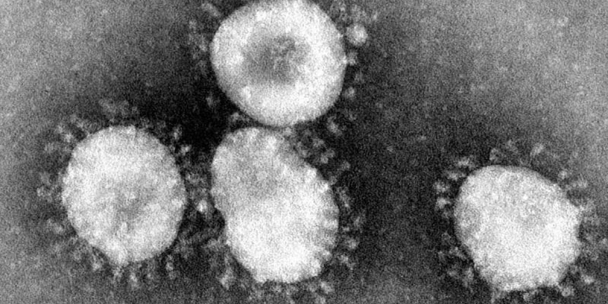 Coronavirus: enfermedad tendría dos cepas y la mayoría de los contagiados sufre la más grave