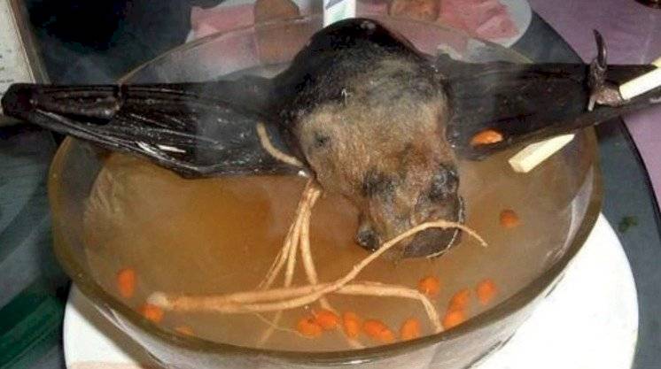 sopa de murciélago