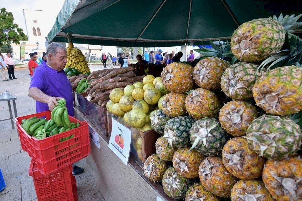mercado agrícola