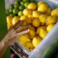 Consejos para evitar el desperdicio de comida