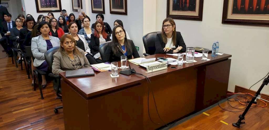 Corte Interamericana de Derechos Humanos en el caso de Paola Guzmán