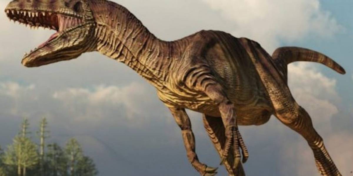 Dinosaurio: científicos han reconocido nueva especie que había sido encontrada hace 30 años