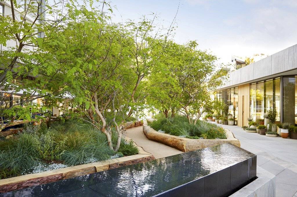 Nuevos hoteles tratan de ser más cálidos para sus visitantes | Metro