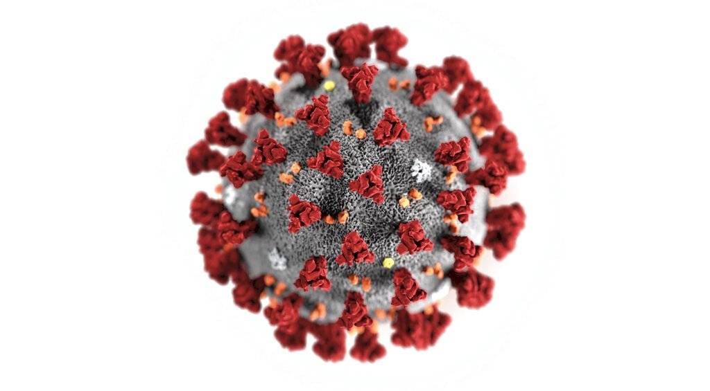 coronavirus