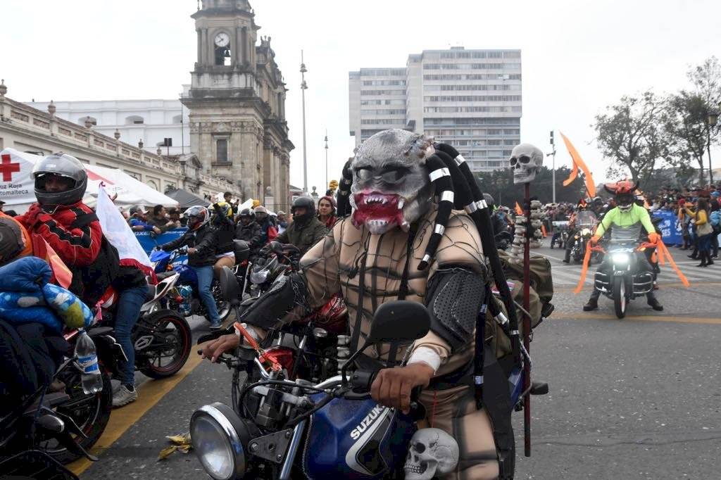 Caravana del Zorro 2020
