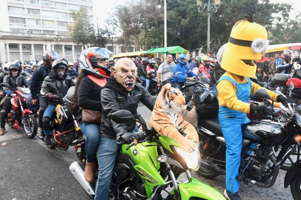 Caravana del Zorro 2020