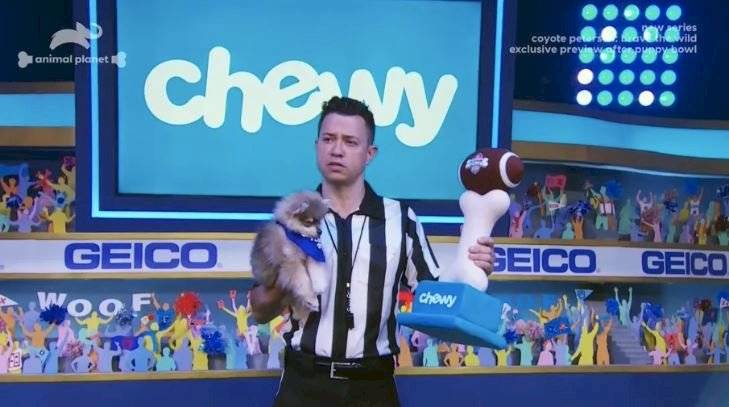 Puppy Bowl 2020