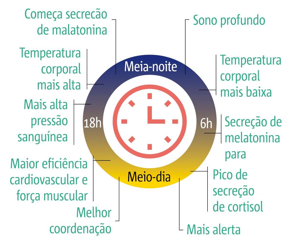 Cronobiologia
