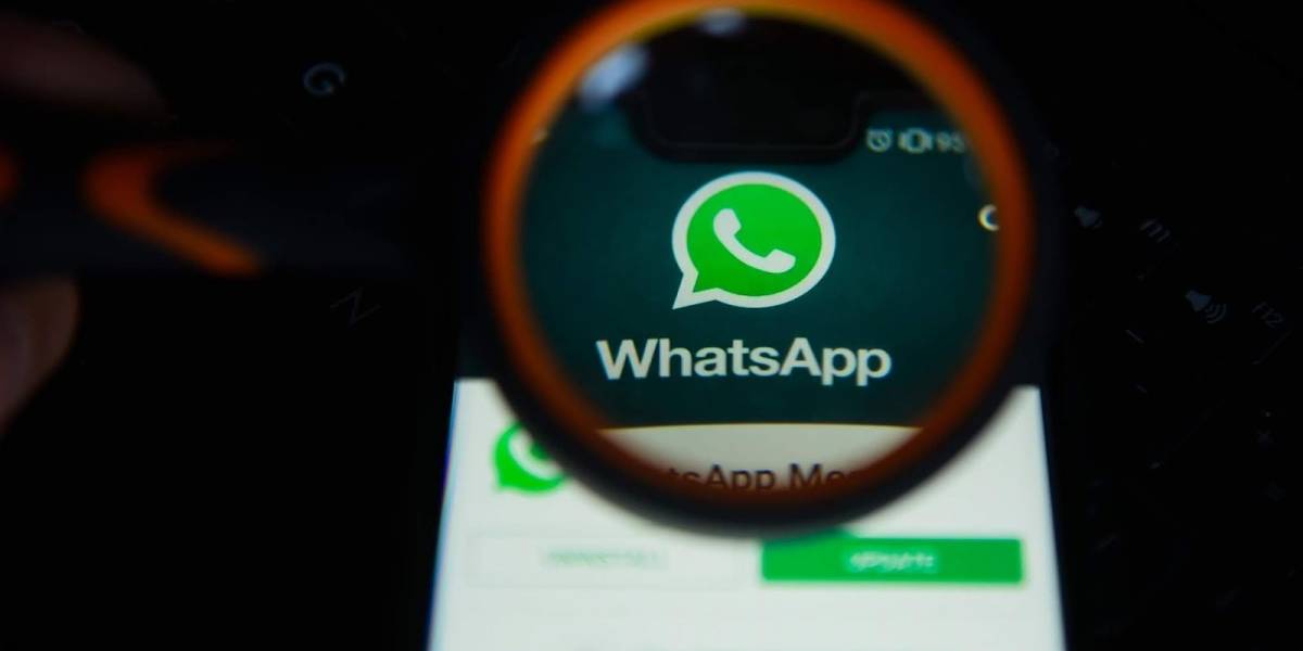 Llegó febrero y estas son todas las novedades que traerá WhatsApp