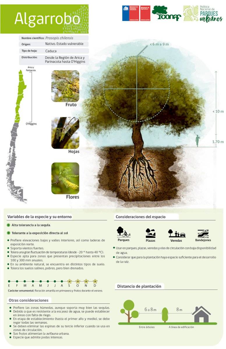 arboles