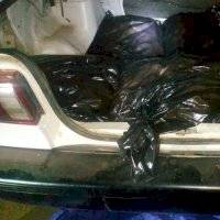 Detienen a hombre que transportaba 8 mil huevos de tortuga